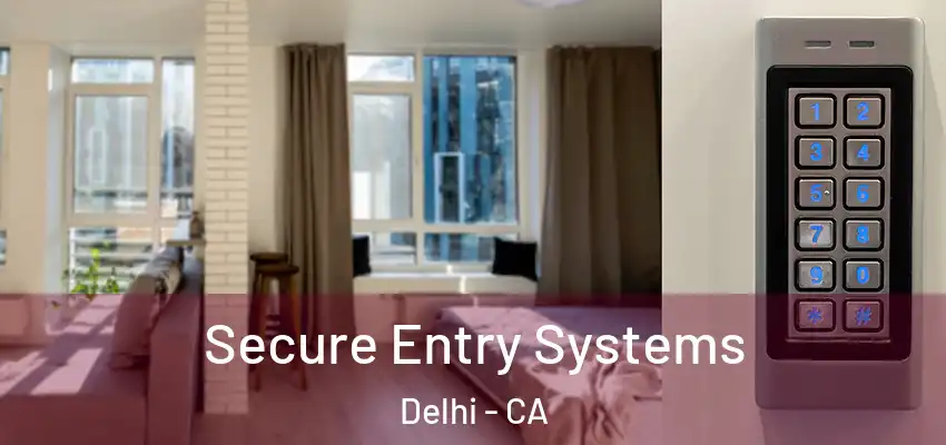 Secure Entry Systems Delhi - CA